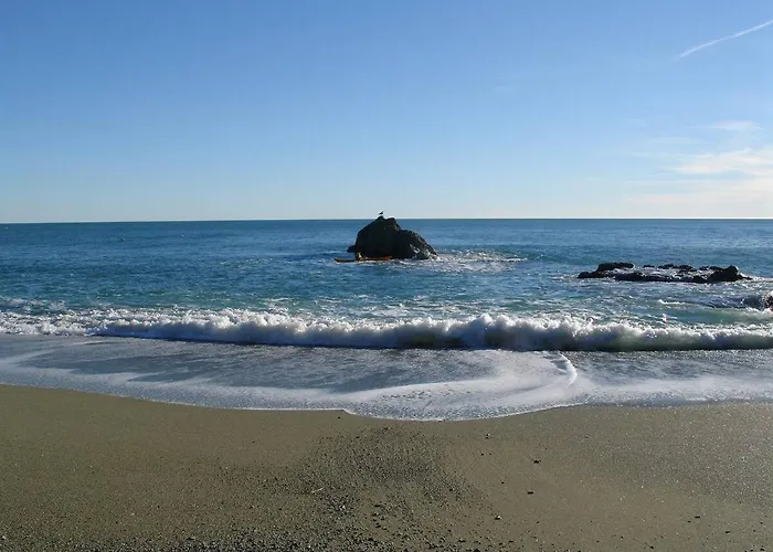 Nautilus Location Near Beaches 아파트 *